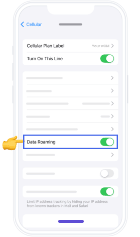 iPhone Data Roaming