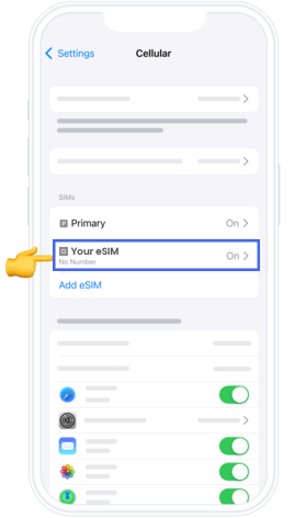 iPhone eSIM Setup